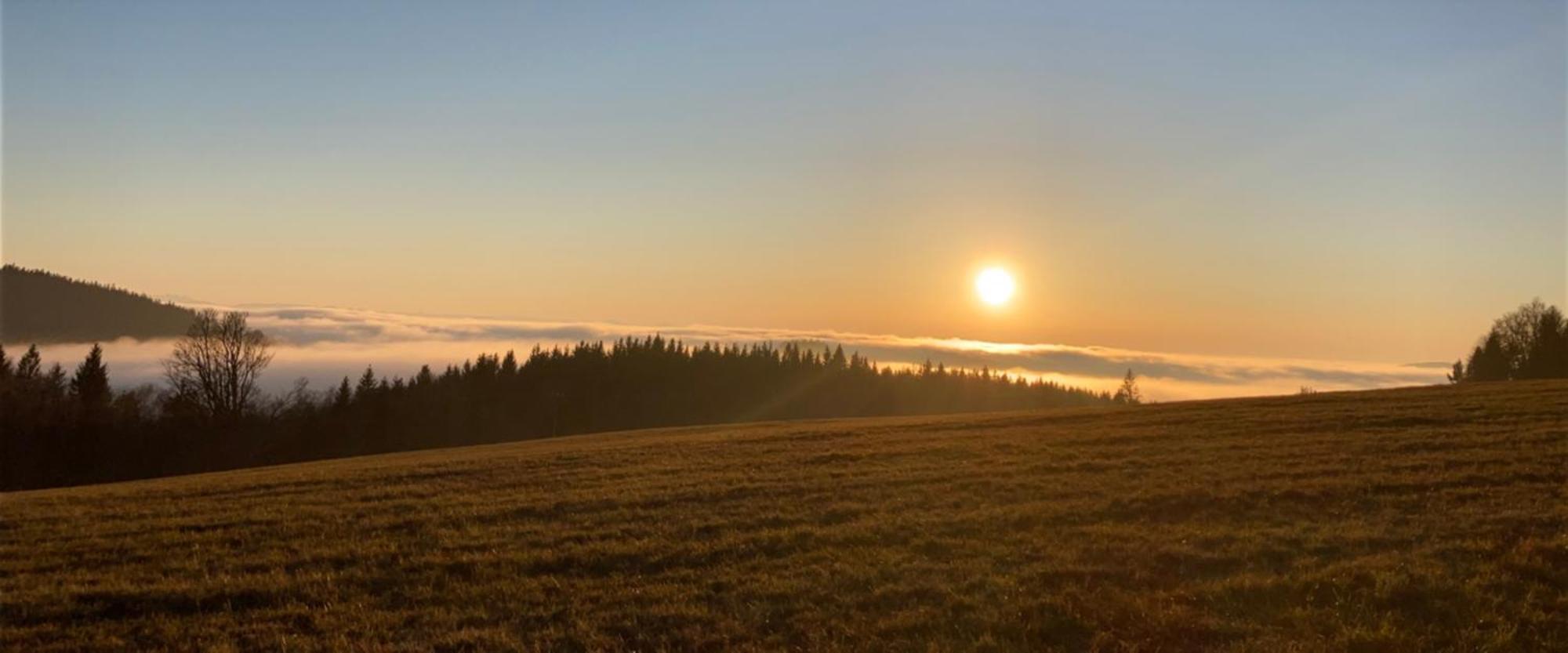 Apartmany Hajovna Lipno Loučovice Eksteriør bilde