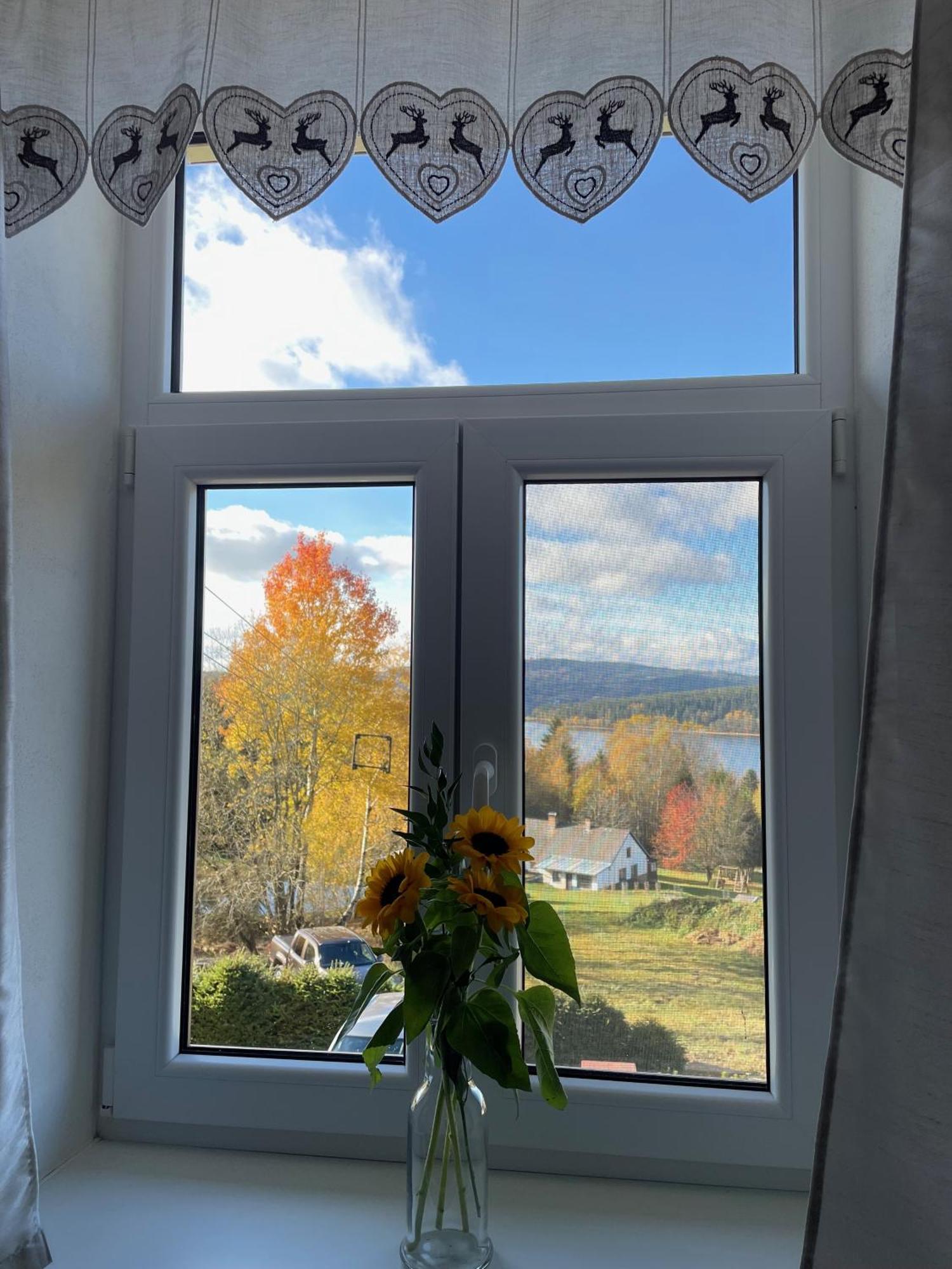 Apartmany Hajovna Lipno Loučovice Eksteriør bilde